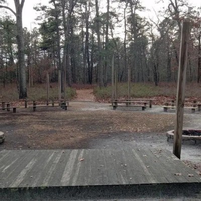 Outdoor amphitheater in a forest with stage, benches, and fire pits.