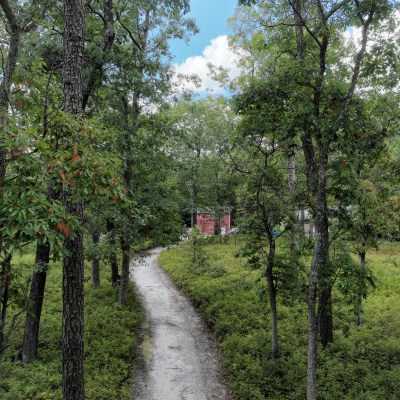 Path through a forest leading to a red house, surrounded by green trees under a partly cloudy sky.