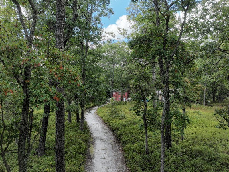 Path through a forest leading to a red house, surrounded by green trees under a partly cloudy sky.