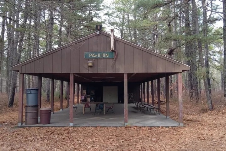 Wooden pavilion with tables in a forest clearing surrounded by trees.