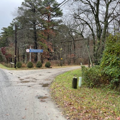 Gravel road fork lined with trees, a sign, and patches of grass on a cloudy day.
