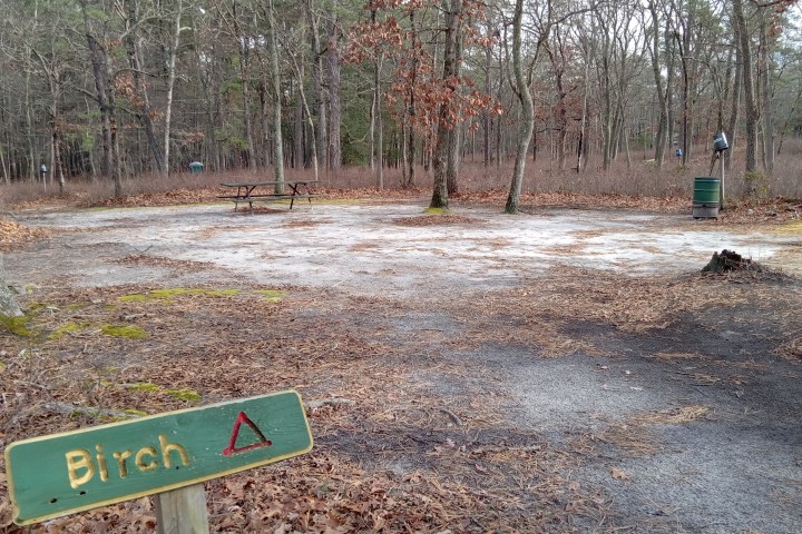 Empty campsite with picnic table and sign labeled 'Birch' in wooded area.