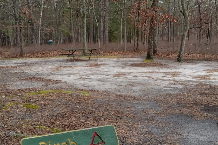 Wooden sign labeled 'Birch' in a forest clearing, with a picnic table in the background.