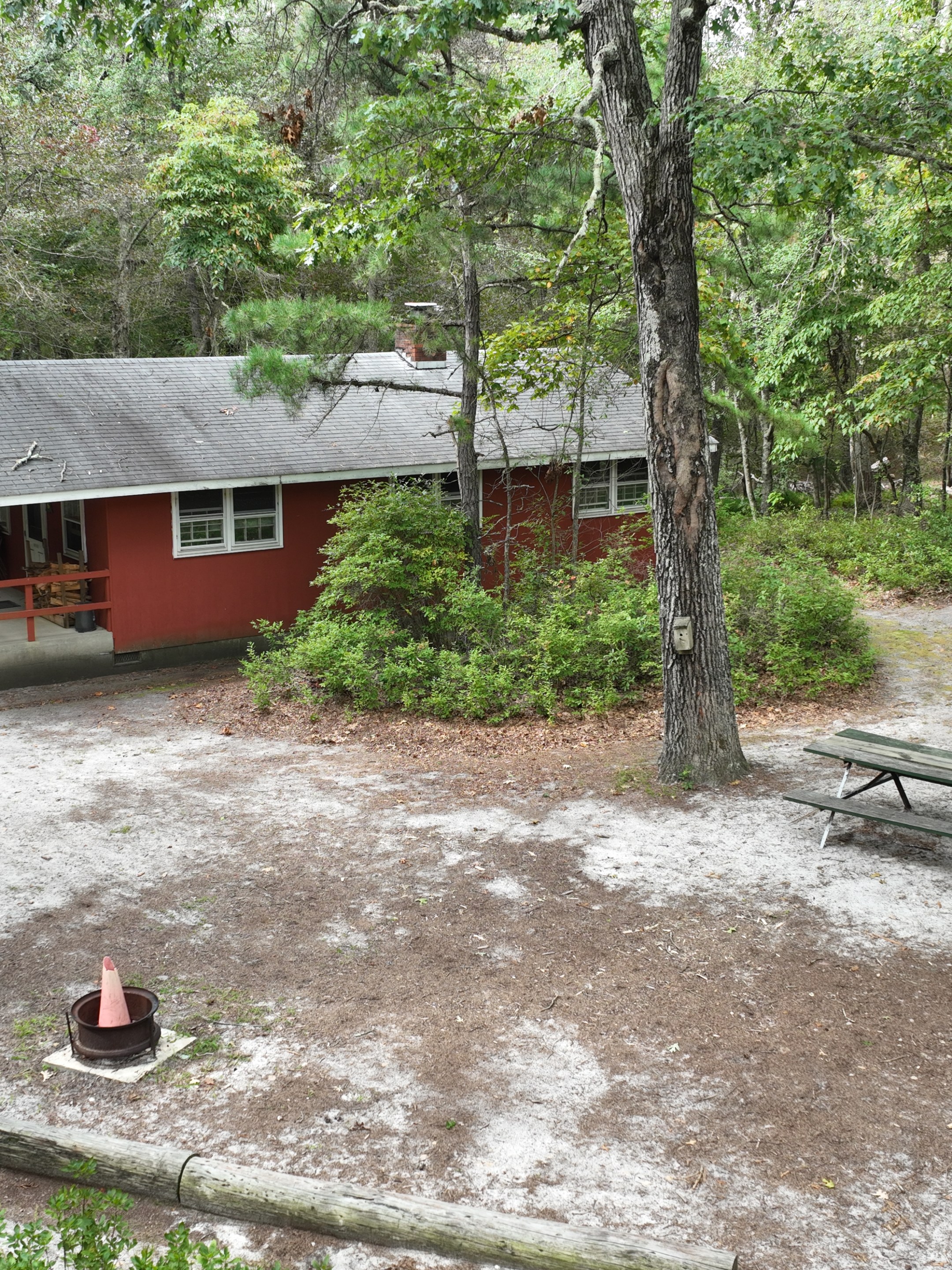 Red cabin in forest clearing with picnic table and fire pit nearby.