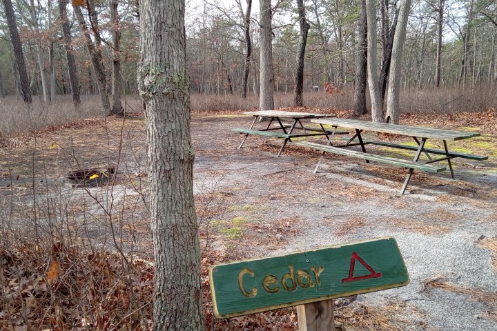 Campsite with picnic tables in a forest, sign reads 'Cedar'.