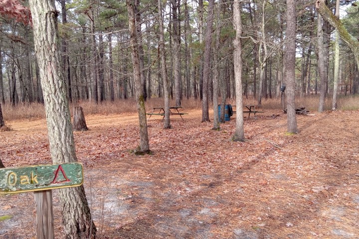 Forest campsite with two picnic tables and a 'Oak' sign among trees.