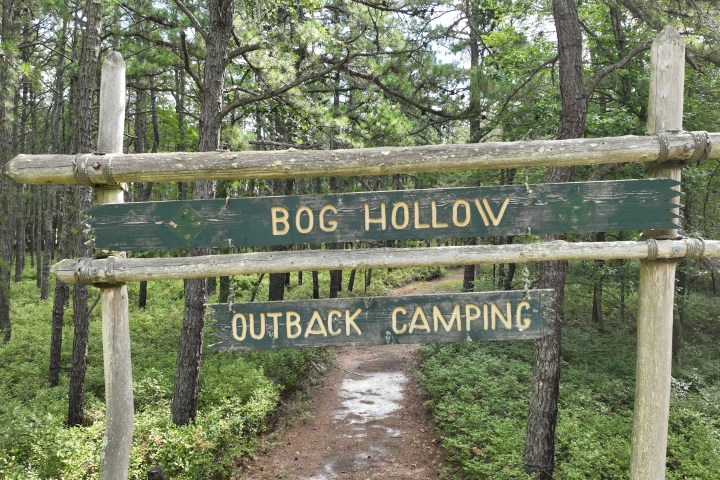 Wooden sign in forest reading 'Bog Hollow' and 'Outback Camping' on a trail.