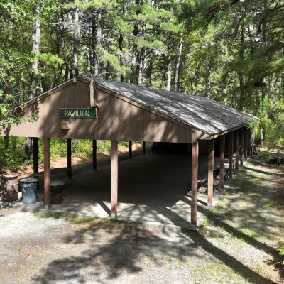 Outdoor pavilion with wooden roof surrounded by trees in a forest setting.