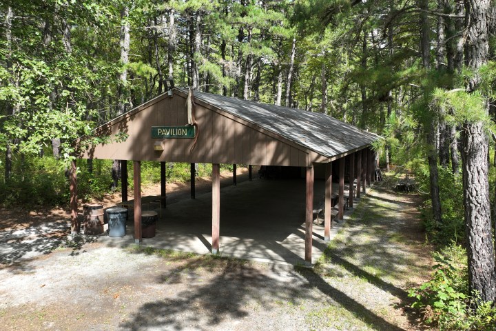 Outdoor pavilion with wooden roof surrounded by trees in a forest setting.