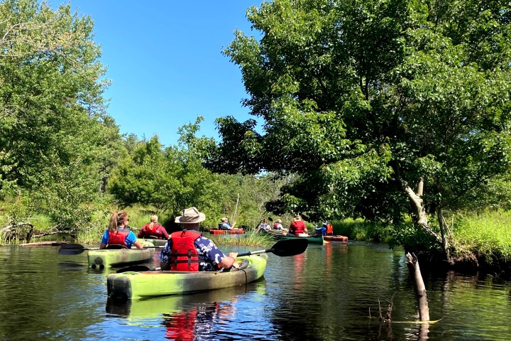 Group kayaking on a calm, tree-lined river under clear blue sky.