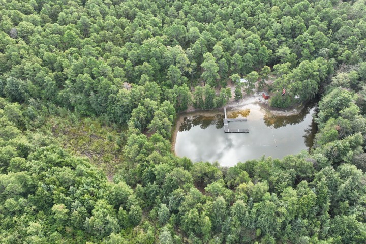 Aerial view of a small pond surrounded by dense green forest.